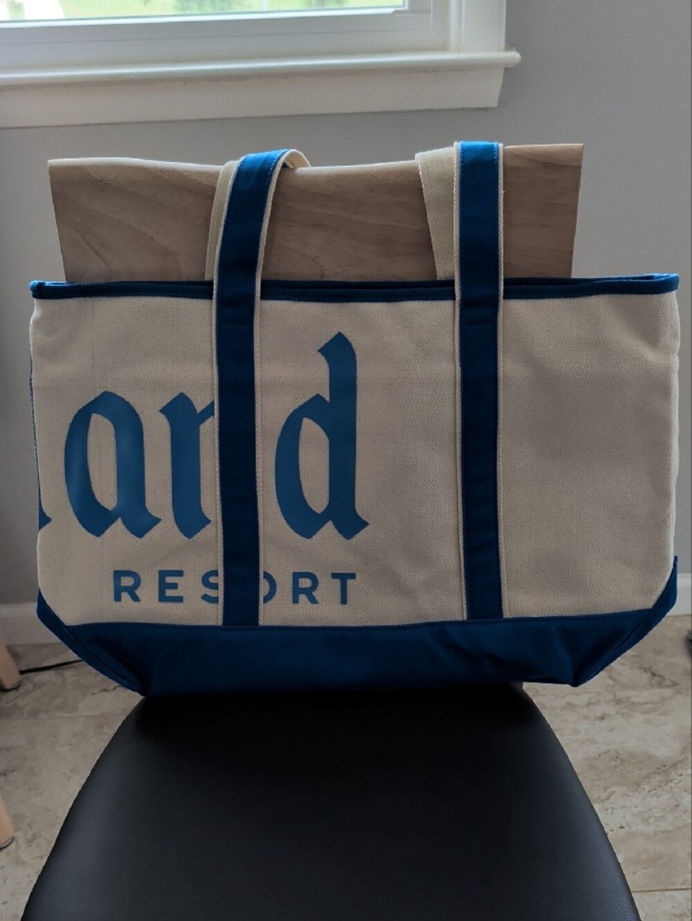 Disneyland Large Canvas Tote NWT - Picture 3 of 6